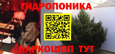 сатива Керчь