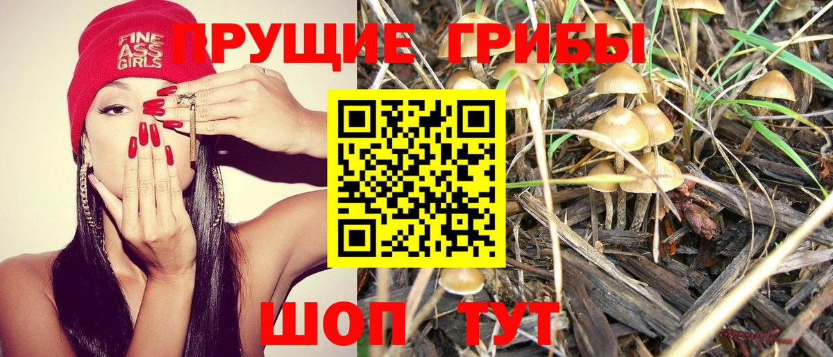 Псилоцибиновые грибы прущие грибы  Псилоцибиновые грибы мицелий  Верхний Уфалей  Вход с VPN 